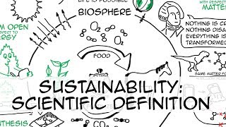 Sustainability simple definition whiteboard animation [upl. by Esoranna]