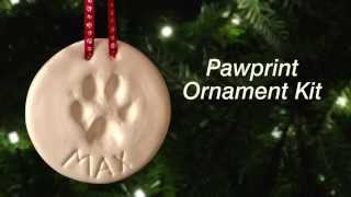 How to Make a Pawprint Ornament  DrsFosterSmithcom [upl. by Sternberg295]