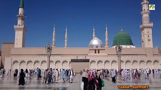 Saudi Arabia Travel Masjid Nabawi Walk in amp Out [upl. by Roze]