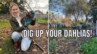 OVERWINTERING THE PLOT  ALLOTMENT GARDENING UK [upl. by Ayaladnot]