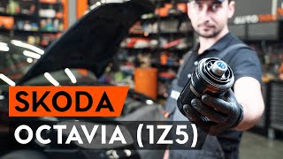 How to change oil filter and engine oil on OCTAVIA 1Z5 TUTORIAL AUTODOC [upl. by Fontes]