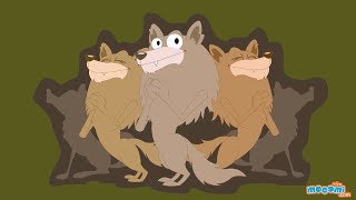 12 Interesting Facts about Wolves  Wolf Facts for Kids  Educational Videos by Mocomi [upl. by Zinck905]