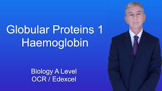 A Level Biology Revision quotGlobular Proteins 1 Haemoglobinquot [upl. by Cirdnek]