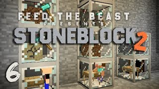 StoneBlock 2 Modpack Ep 6 Automatic Sieve Setup  Item Sorting [upl. by Illoh202]