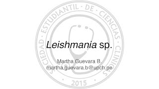 Leishmania sp [upl. by Waddle]