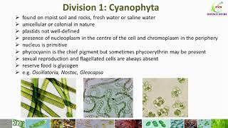 Classification of Algae Algae classification by G M SmithGeneral characters of Algae 7 divisions [upl. by Ailima65]