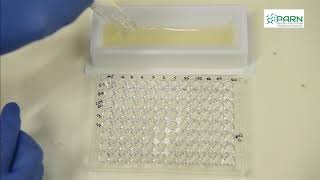 MIC by Microbroth dilution method [upl. by Iorio]