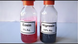 Eosin Nigrosin Stain preparation [upl. by Yrrep908]