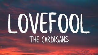 The Cardigans  Lovefool Lyrics [upl. by Trah]