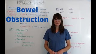 Bowel Obstruction [upl. by Dahraf]