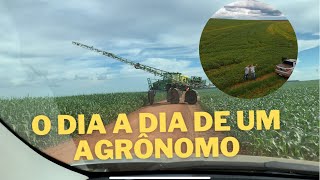 O dia a dia de um agrônomo Um pouco da minha profissão [upl. by Judah]