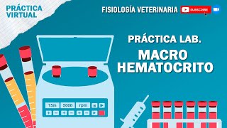 FISIO1PRACTICAMACROHEMATOCRITO [upl. by Ellehs761]