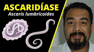 Ascaridíase Ascaris lumbricoides ou lombriga ciclo de vida diagnóstico etc  Parasitologia [upl. by Inaflahk929]