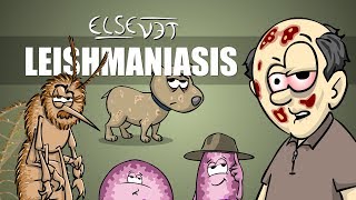 Leishmaniasis  Plain and Simple [upl. by Kirsten765]