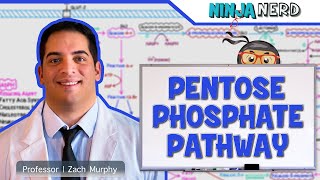 Metabolism  Pentose Phosphate Pathway [upl. by Nnaylime]