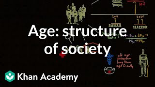 Demographic structure of society  age  Society and Culture  MCAT  Khan Academy [upl. by Aseyt]