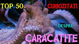 Top 50 curiozitati despre CARACATITE [upl. by Nnylatsyrk]