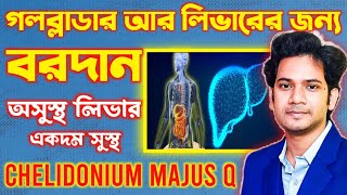 Chelidonium Majus Homeopathic medicine  DrJayantaMahataHomoeopathy [upl. by Idnim107]