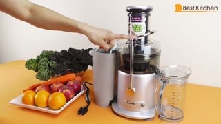 Breville JE98XL Juice Fountain Plus 850Watt Juice Extractor Review [upl. by Araem]