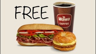 How To Get Free Food amp Drinks At Wawa [upl. by Maltz711]