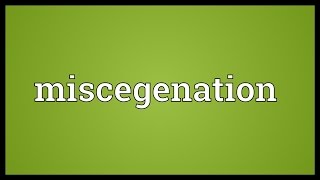 Miscegenation Meaning [upl. by Ynnavoeg]