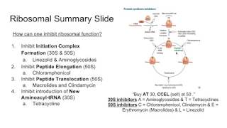 USMLE  Antibiotics Protein Synthesis Inhibitors [upl. by Sairu411]