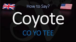 How to Pronounce Coyote  English American Pronunciation [upl. by Bliss]