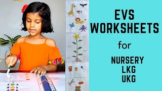 Daily Practice EVS Worksheets for Toddler Nursery LKG UKG Kindergarten Preschool  6 [upl. by Natsirk505]