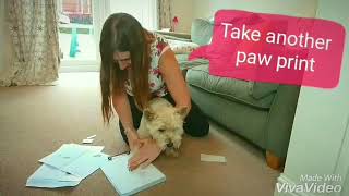 How to take your pets paw print [upl. by Aitenev]