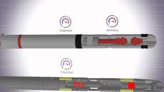 Gas Lift IPO Injection Pressure Operated PTC [upl. by Anawit]