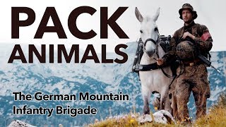 Pack Animals  the 🇩🇪 German Mountain Infantry Brigade [upl. by Atnahsa]