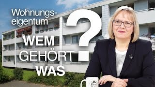 Was gehört zu meiner Eigentumswohnung Sondereigentum Gemeinschaftseigentum Sondernutzungsrechte [upl. by Eillim]