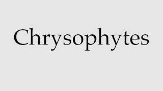 How to Pronounce Chrysophytes [upl. by Hayden]