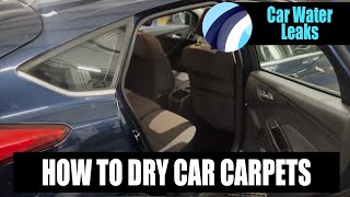 How To Dry Carpets In A Wet Car [upl. by Ylebmik]