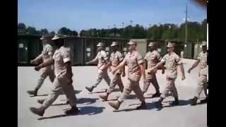 USMC US Marine Corps Marching Cadence [upl. by Enaira]