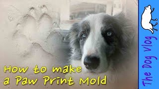 How to Make a Paw Print Mold [upl. by Kirsteni]