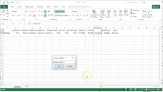 Excel 2016  Entering Labels and Naming a Worksheet 1 [upl. by Methuselah]