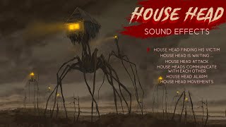 House Head Sound Effects [upl. by Thera]