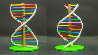 School Science Projects  DNA Model [upl. by Oniratac]