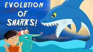 Evolution Of Sharks  The Dr Binocs Show  Best Learning Videos For Kids  Peekaboo Kidz [upl. by Ecidnak]