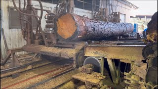 Precision pine cutting [upl. by Martell517]