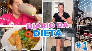 O DIÁRIO DA DIETA VOLTOU 1 [upl. by Hpotsirhc869]