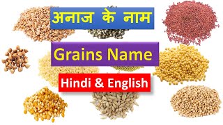 Grains in Hindi  Grains name in Hindi [upl. by Nelubez]