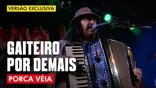 GAITEIRO POR DEMAIS  PORCA VÉIA AO VIVO  CLIP DVD [upl. by Torto]