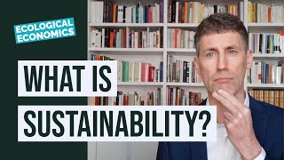 What Is Sustainability [upl. by Eniamrehc]