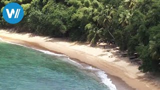 Tobago traveldocumentary from the season quotCaribbean Momentsquot [upl. by Rosena]