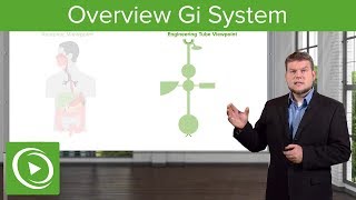 Overview Gastrointestinal System – Physiology  Lecturio [upl. by Hoebart]