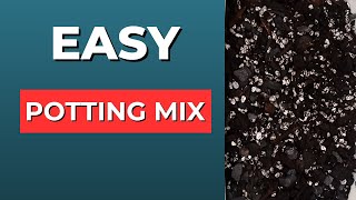 Easy 3 Ingredient Potting Mix Recipe for Beginners [upl. by Inverson565]