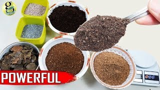 Best DIY Fertilizer Mix Recipe Universal Allpurpose Mixed Fertilizer Powder [upl. by Chevy]