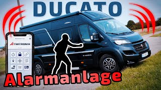 Thitronik Alarmanlage  Fiat Ducato  Bluetooth App  ARS24 [upl. by Axe]